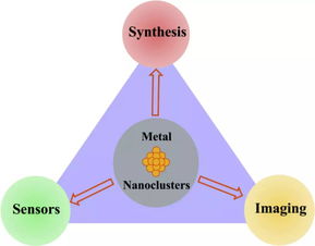 金属纳米团簇 可用于传感器和生物成像的新型荧光探针