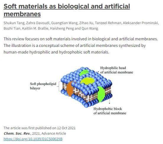 我校大庆校区在纳米生物医学材料研究领域取得最新进展