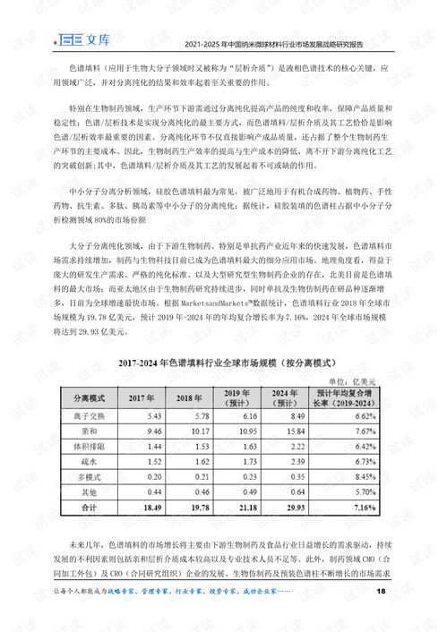 2021 2025年中国纳米微球材料行业市场发展战略研究报告.pdf